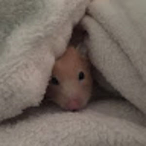 Meet your Posher, Katie